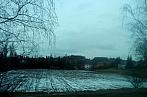 Borovina
