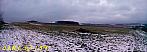 Slavičín, sídliště Vlára