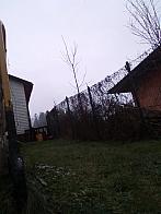Skalité