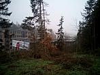 Borovina