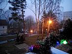Borovina