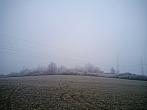 Borovina