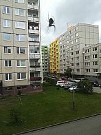 Fotografie