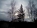 Borovina