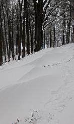 Ostrý