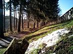 Borovina