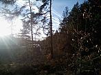 Borovina