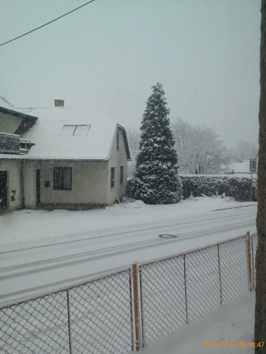 Proseč