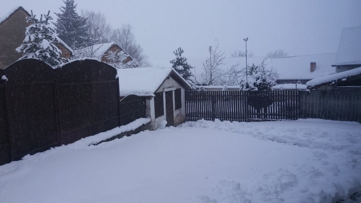 Předín