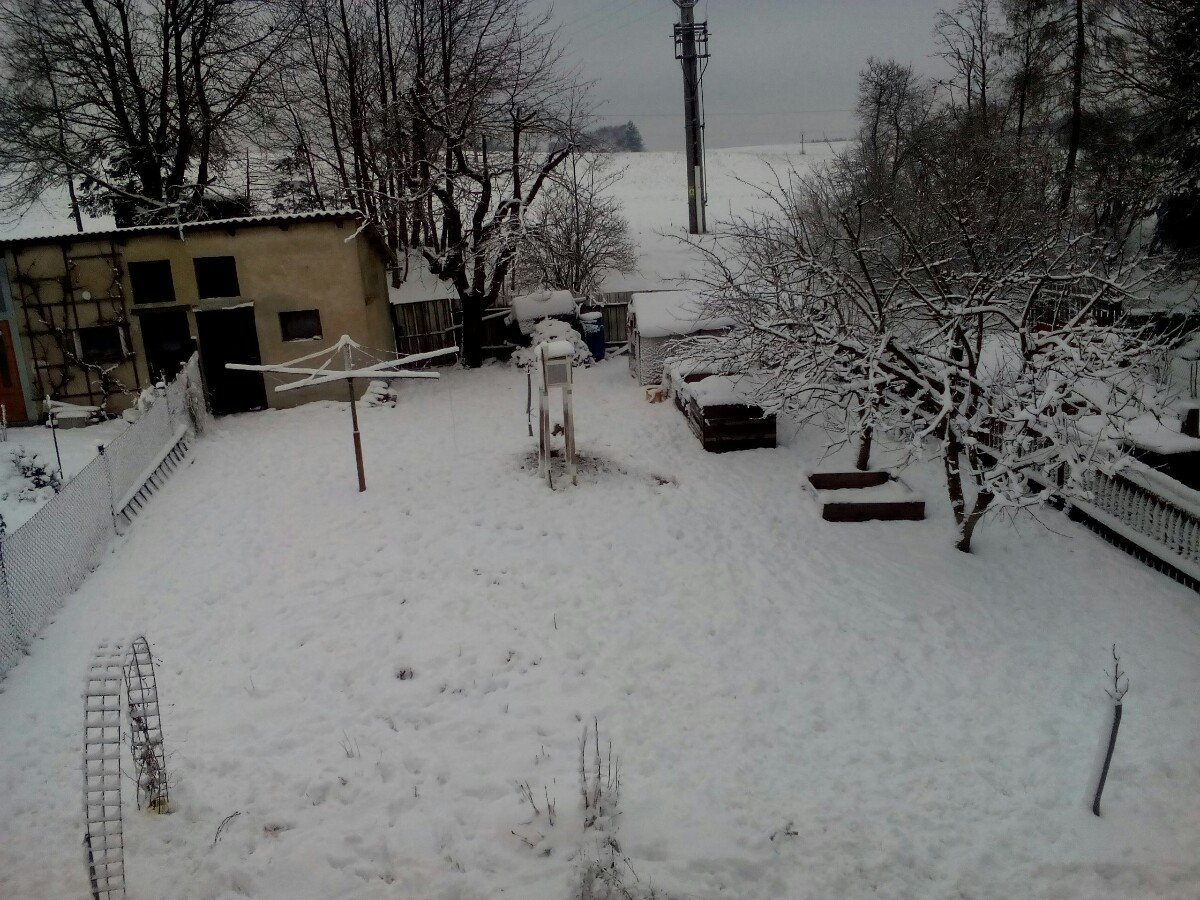 Kunžak
