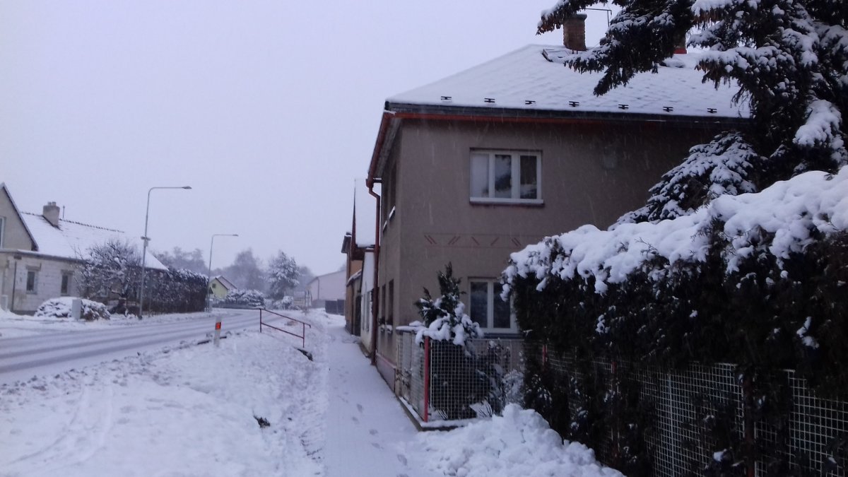 Olešná