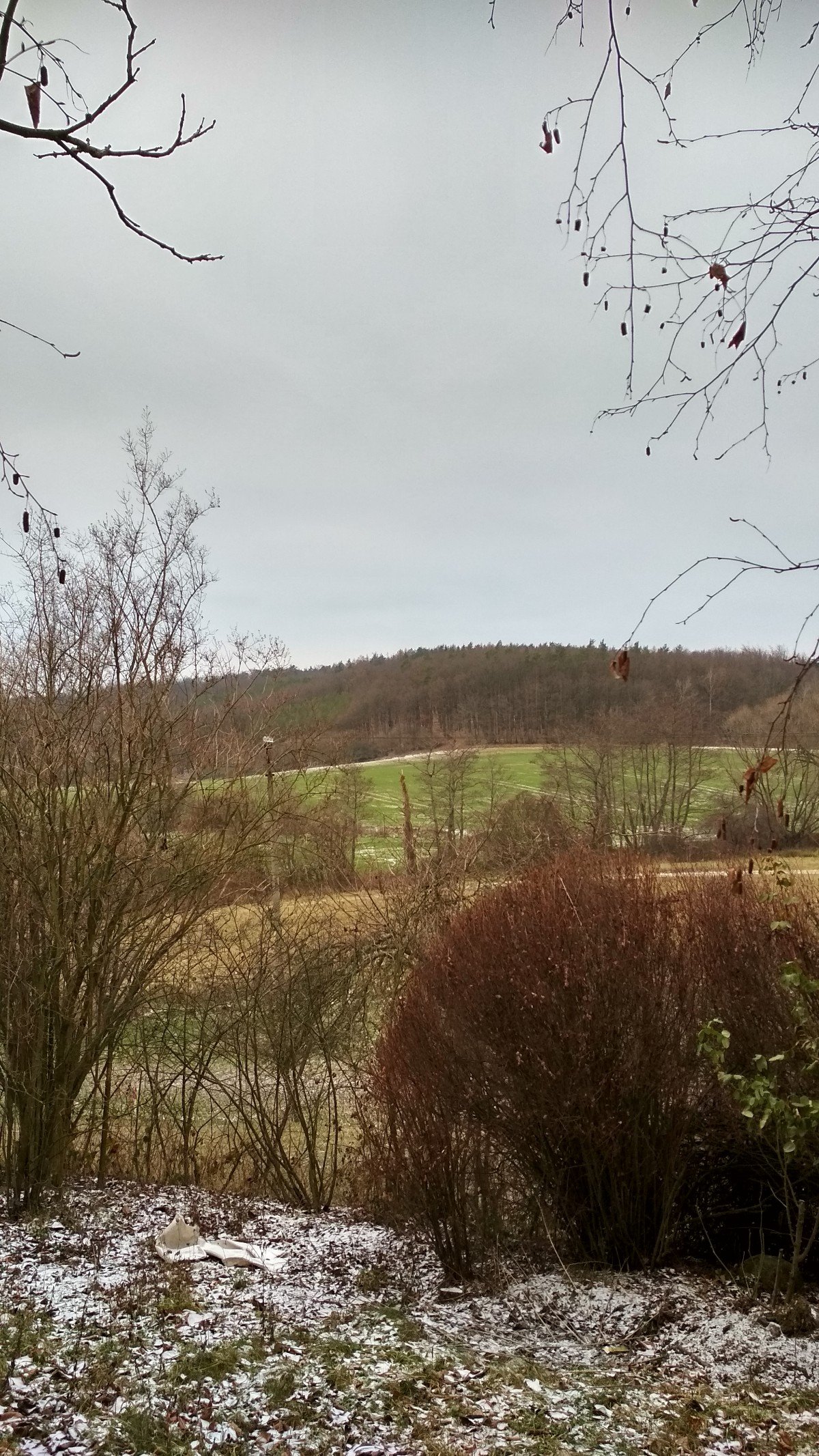 Habrovany