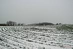 Pohořelice