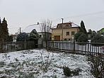 Třibřichy