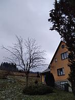Skalité
