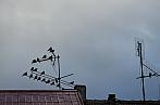 Kladno
