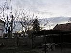 Třibřichy
