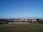 Borovina