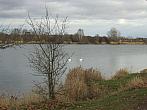 Neratovice