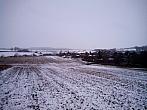 Borovina