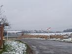 Třibřichy