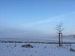 Svitavy