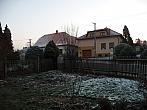 Třibřichy