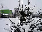 Borovina