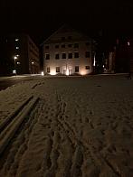 Borovina