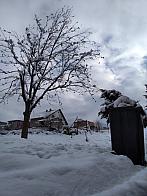 Skalité