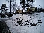 Borovina