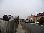 Třibřichy