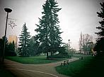 Neratovice