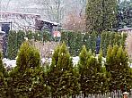 Třemošnice