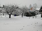 Svratka