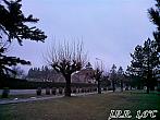 Slavičín, sídliště Vlára