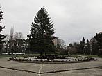 Neratovice