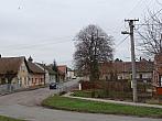 Třibřichy