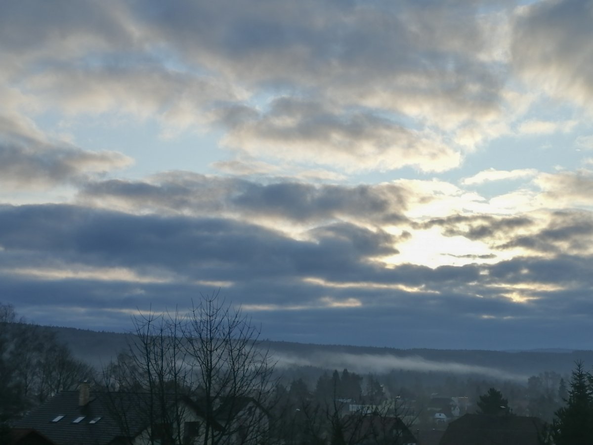 Dýšina