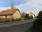 Třibřichy