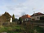 Třibřichy