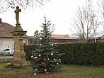Třibřichy