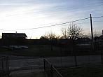 Třibřichy