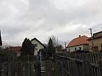 Třibřichy