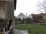 Třibřichy