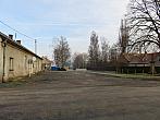 Třibřichy