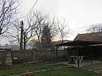 Třibřichy