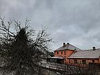 Olešná