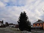 Olešná