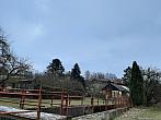 Olešná